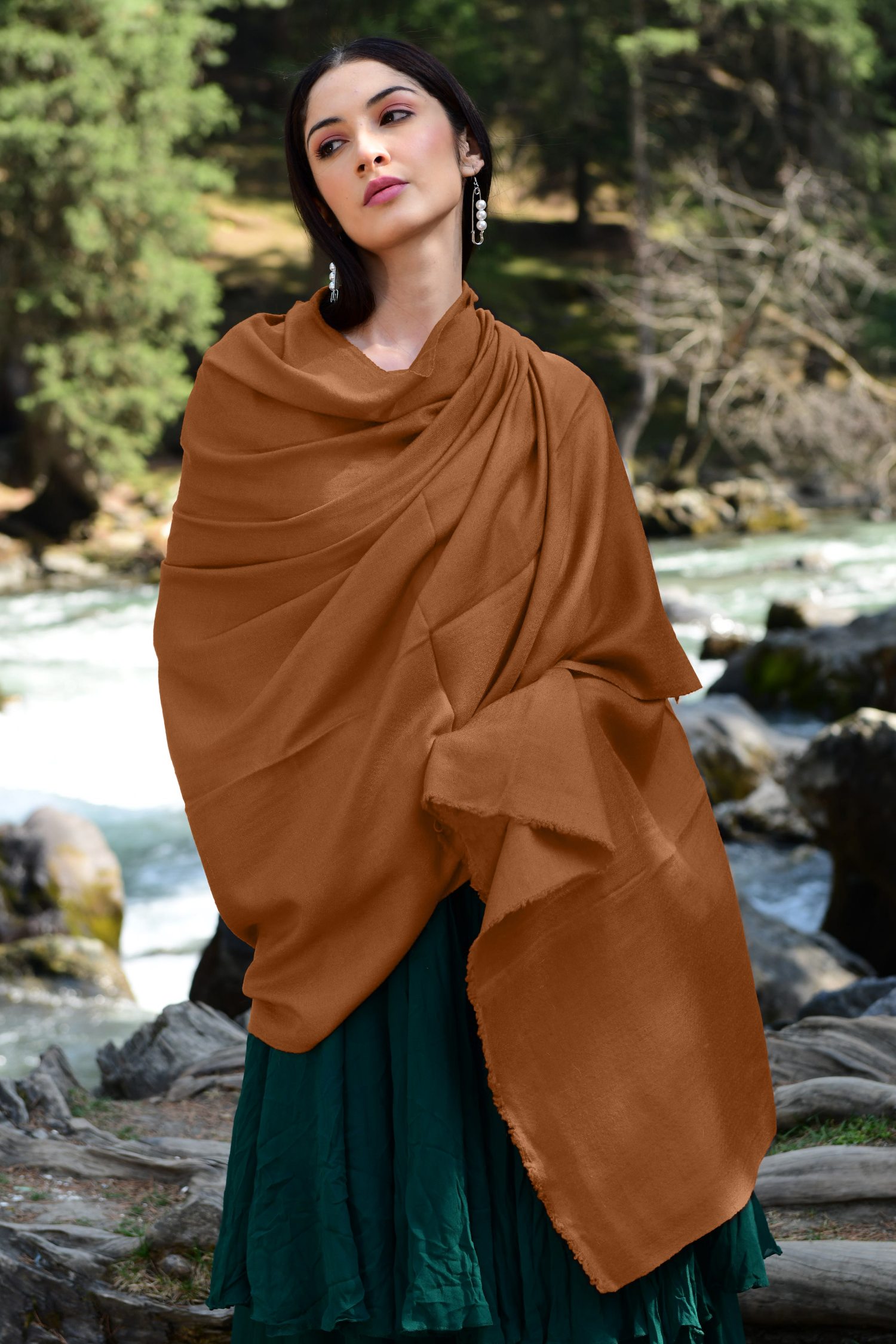 Sudan Brown Cashmere Pashmina shawls, Scarves and Stoles