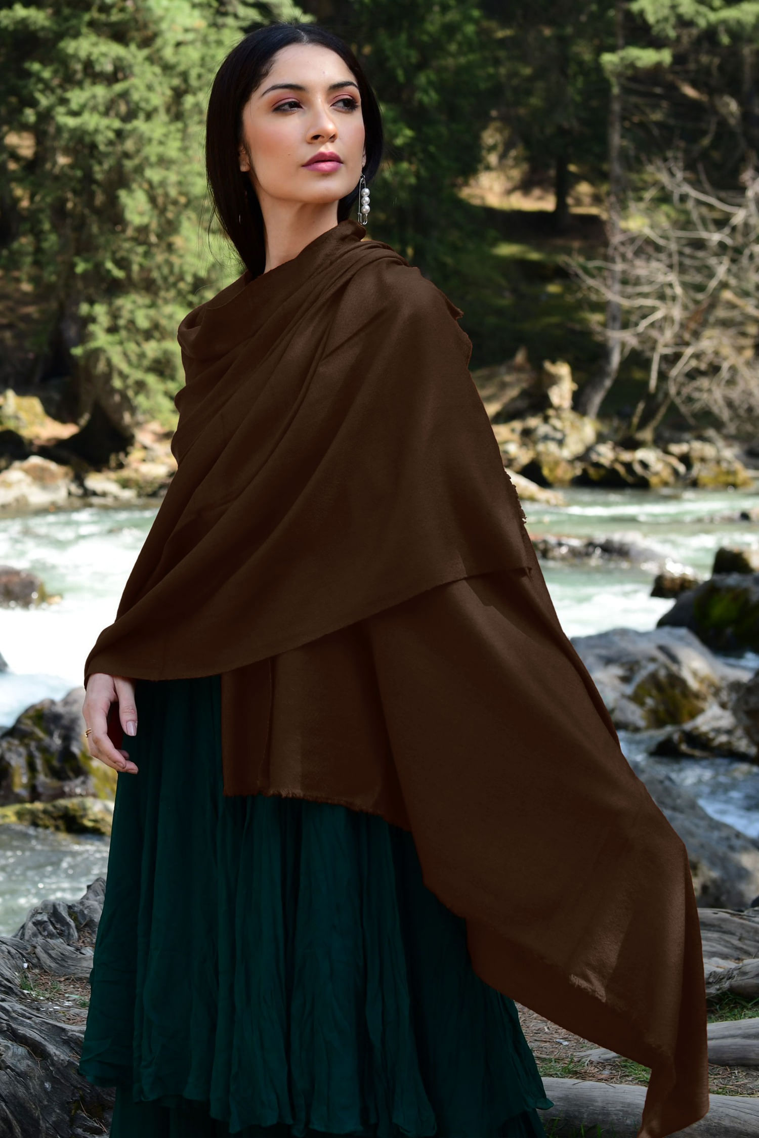 Pashmina Chocolate Brown Scarf Coffee Brown Pashmina Shawl