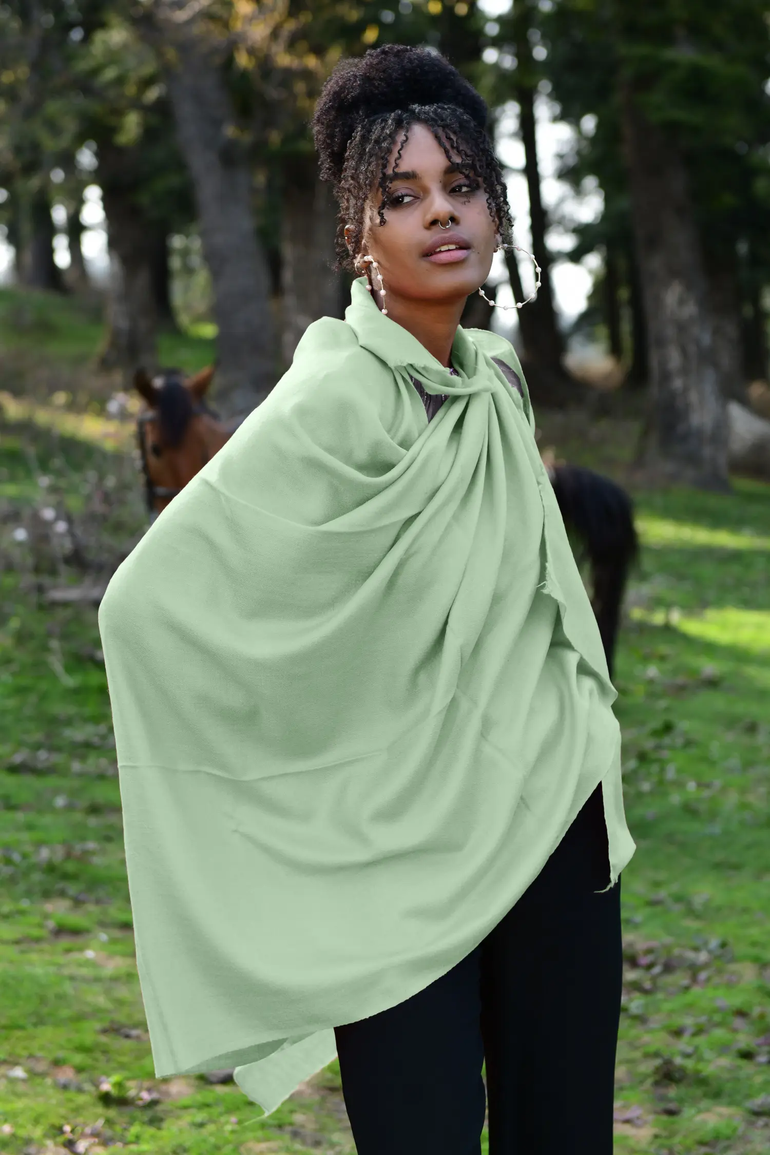 Mint Pashmina Shawl | Solid Kashmiri Shawls